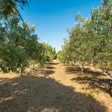 Pretty House Tatil Evi Villamassargia