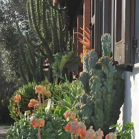Pretty House * Villamassargia